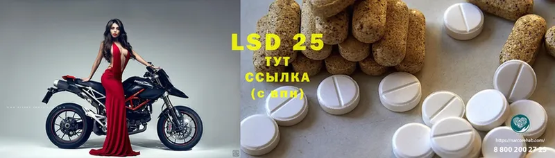 ЛСД экстази ecstasy  купить  сайты  Волчанск 